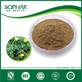 <b>刺蒺藜提取物</b>