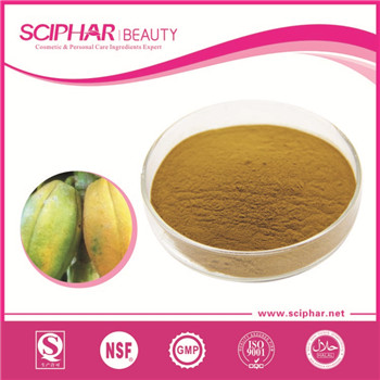 Papaya powder
