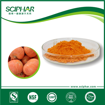 南瓜營(yíng)養(yǎng)粉