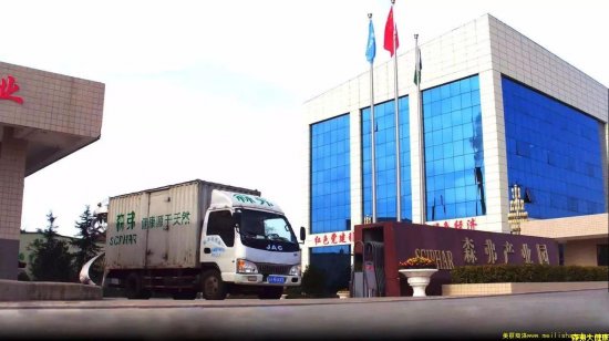 商洛龍頭企業(yè)森弗集團(tuán)：做大做強菊芋產(chǎn)業(yè) 拓寬群眾增收渠道