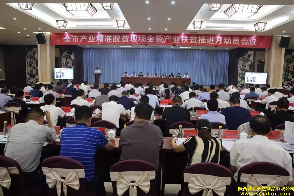 熱烈祝賀陜西森弗被評為商