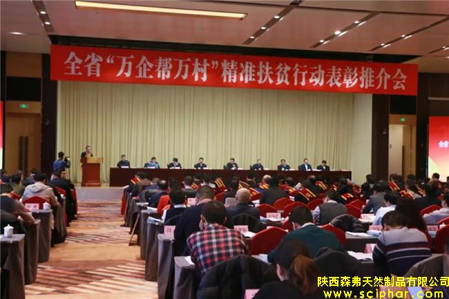 陜西森弗榮獲全省“萬(wàn)企幫萬(wàn)村”精準(zhǔn)扶貧行動(dòng)先進(jìn)民營(yíng)企業(yè)