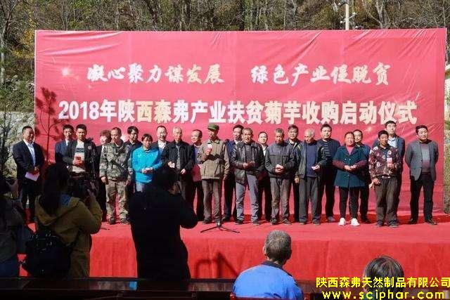 凝心聚力謀發(fā)展 綠色產(chǎn)業(yè)促脫貧”2018森弗集團(tuán)產(chǎn)業(yè)扶貧菊芋收購工作正式啟動。