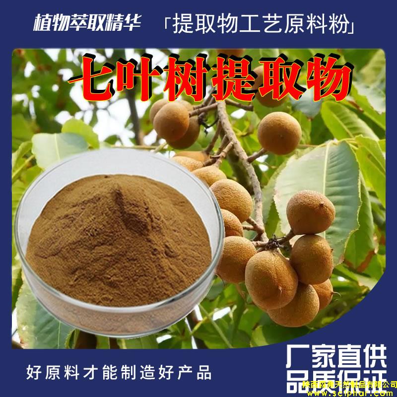 七葉樹提取物的成分、功效